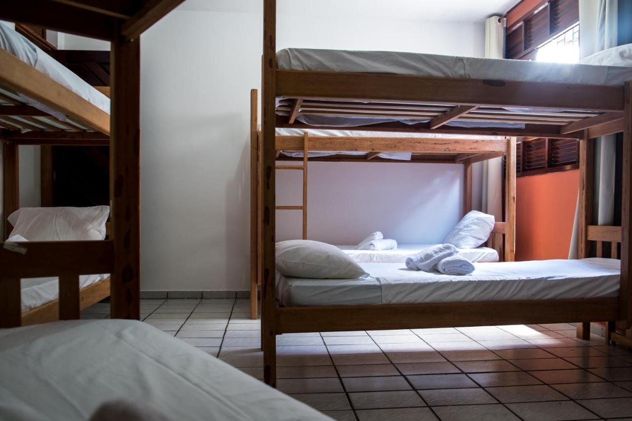Bunk Bed Mixed Dormitory Room
