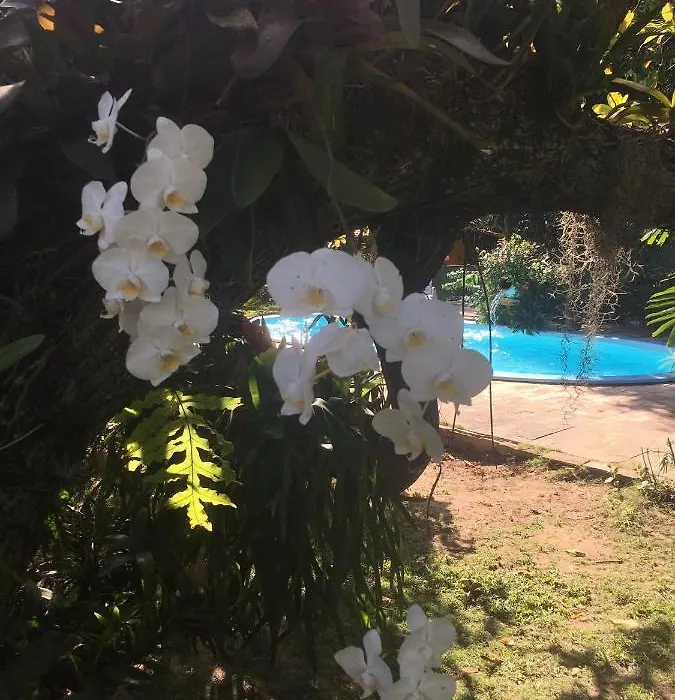 Sitio Na Cidade-1