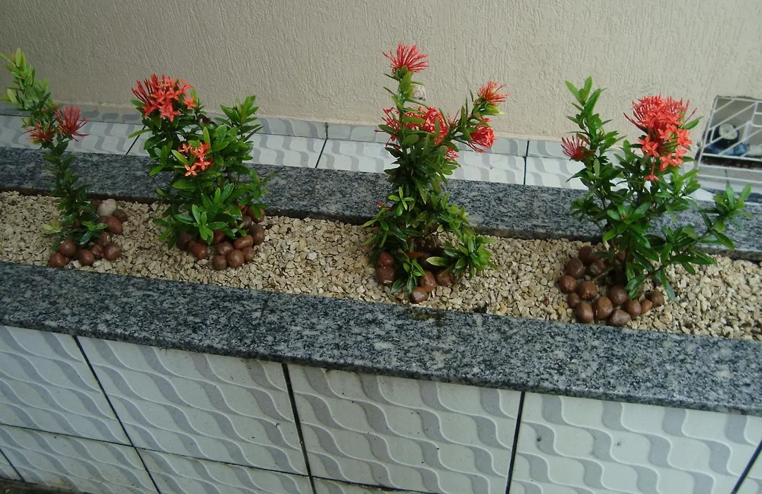 Flat Pousada Da Praia-1